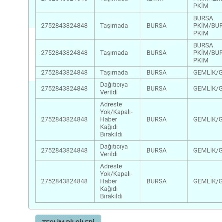 PTT Kargo Kargo S Orunu