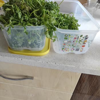 Tupperware Tam Bir Hayal Kırıklığı