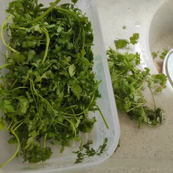 Tupperware Tam Bir Hayal Kırıklığı