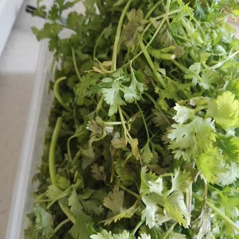 Tupperware Tam Bir Hayal Kırıklığı