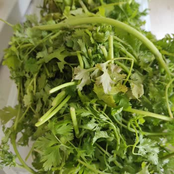 Tupperware Tam Bir Hayal Kırıklığı