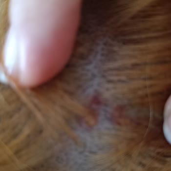 Palette 10.1 İle Yaşadığım Tatsız Deneyim