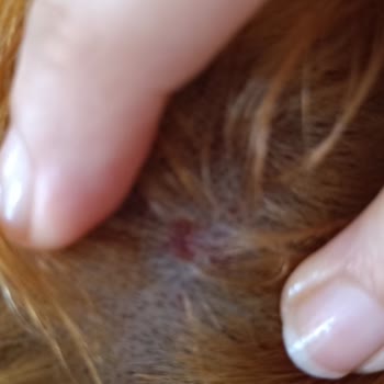 Palette 10.1 İle Yaşadığım Tatsız Deneyim