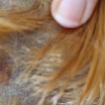 Palette 10.1 İle Yaşadığım Tatsız Deneyim