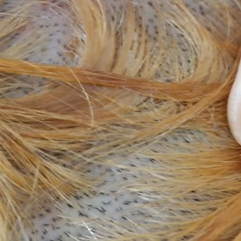 Palette 10.1 İle Yaşadığım Tatsız Deneyim