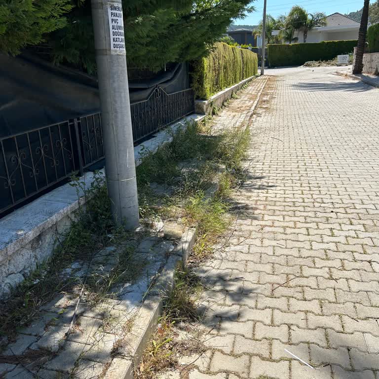 Çeşme Belediyesi Ot Temizliği Yetersizliği