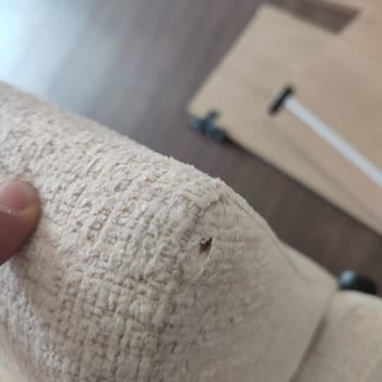 Enza Home Müşterisi Olmak Herkese Nasip Olmaz...