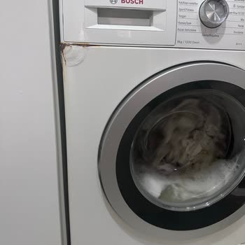 Bosch Çamaşır Makinesi Çürüdü