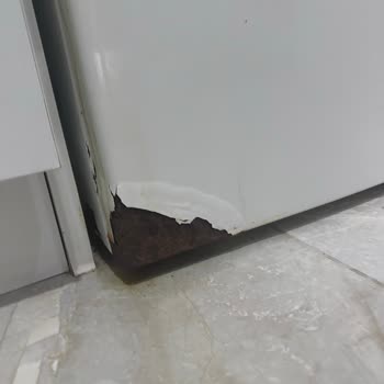 Bosch Çamaşır Makinesi Çürüdü