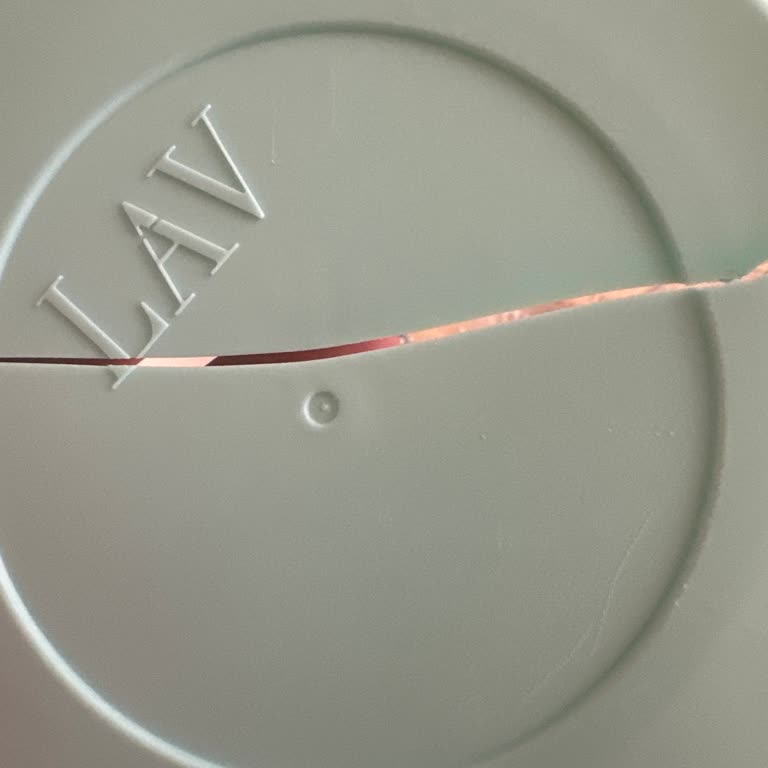 Lav Vega Cam Saklama Kabı Kapağı