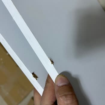 Koçtaş Hasarlı Ürün Ve İade Karmaşası