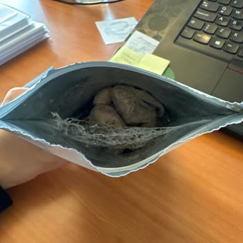 Otto Nuts Otto Dried Fruits Kurtlanmış Paket