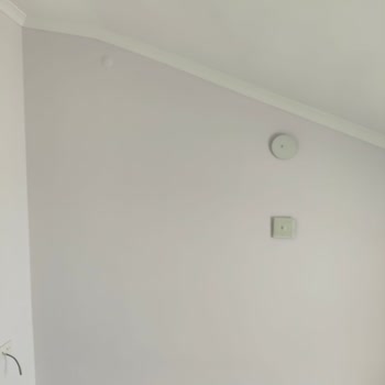 Dyo Yeni Yakamoz Duvar Boyası Pembe Çıktı