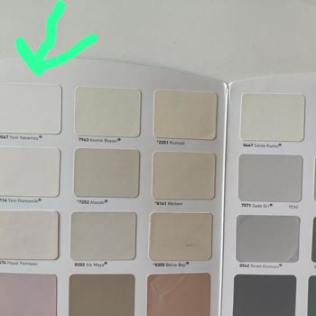 Dyo Yeni Yakamoz Duvar Boyası Pembe Çıktı