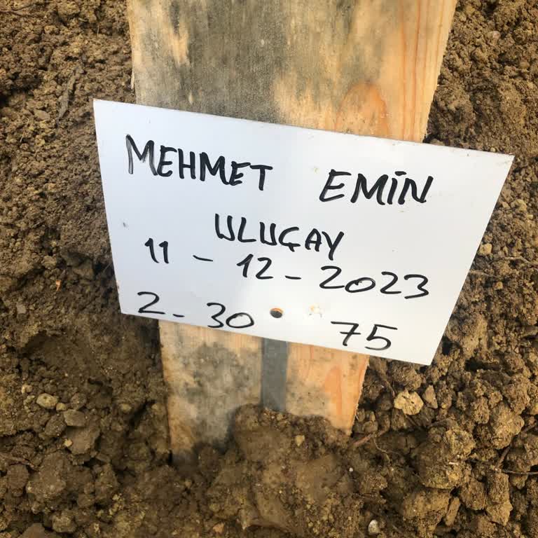 Beylikdüzü Medikana Ticarethane