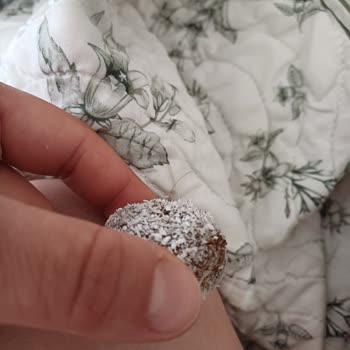 Tuğba Kuruyemiş İzmir'de Kuruyemişten Çıkan Yabancı Madde Şikayeti