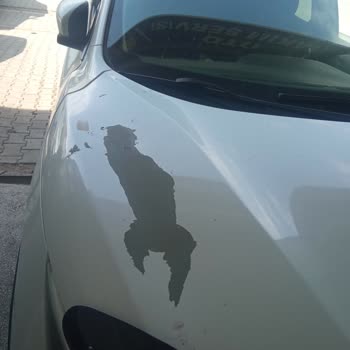 Nissan Qashqai Boya Kalkması.