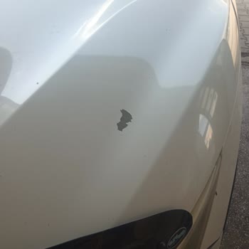 Nissan Qashqai Boya Kalkması.