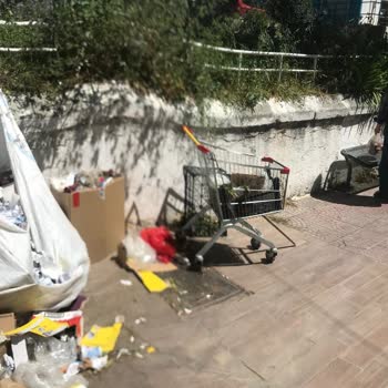 Şok Marketler Çalışanlarının Rahatlığı!