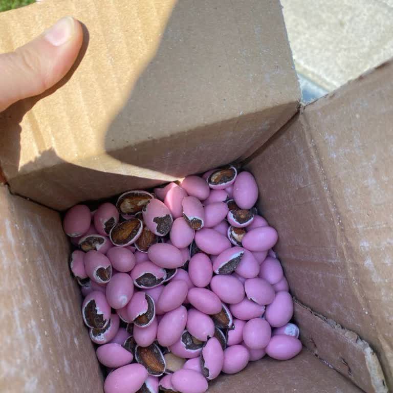 Madlenbebekcikolata (Artu Çikolata) Badem Şekeri Parçalanışı