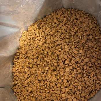 Trendyol Royal Canin Kitten 10 kg Katzenfutter von 'Patili Dostlar' mit Produktqualitätsproblemen