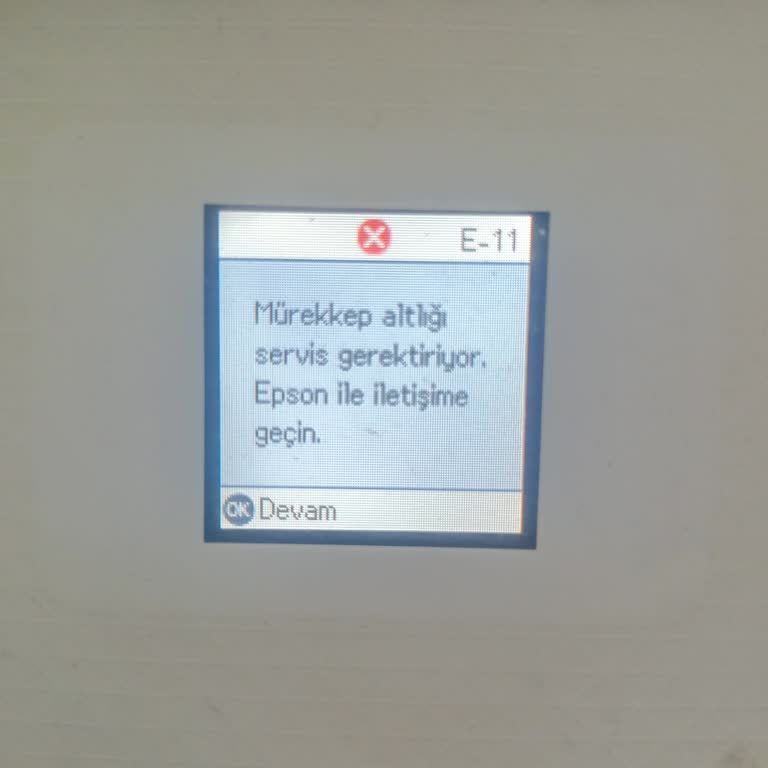 Epson Servis Hizmeti Ve Yedek Parça Sorunu.