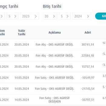 Türkiye Hayat Emeklilik Fon Değişim Süresi Eziyeti
