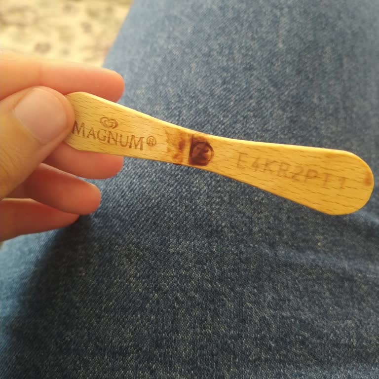 Algida Magnum Kodu Yüklenmedi, Puanım Kayboldu!