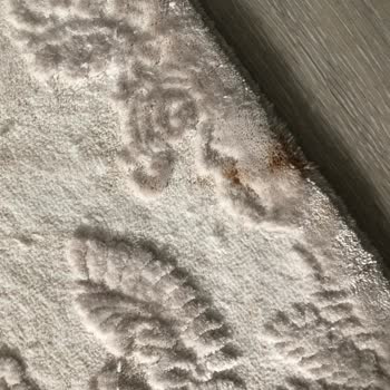 Power Cleaning Halı Yıkama Şirketi Mağduriyeti