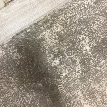 Power Cleaning Halı Yıkama Şirketi Mağduriyeti