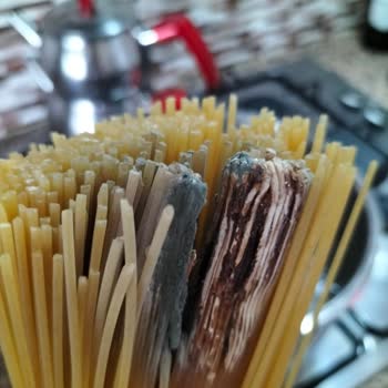 Harras File Küflü Makarna