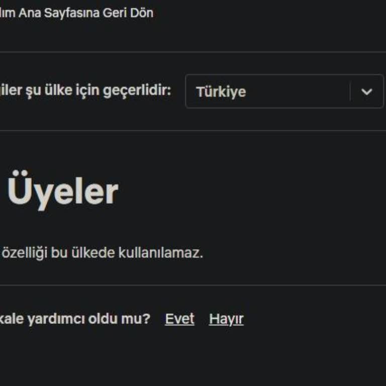Netflix Aile Üyeliği İptali