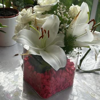 ÇiçekSepeti Görseldekiyle Alakası Yok Gelen Çiçeğin!