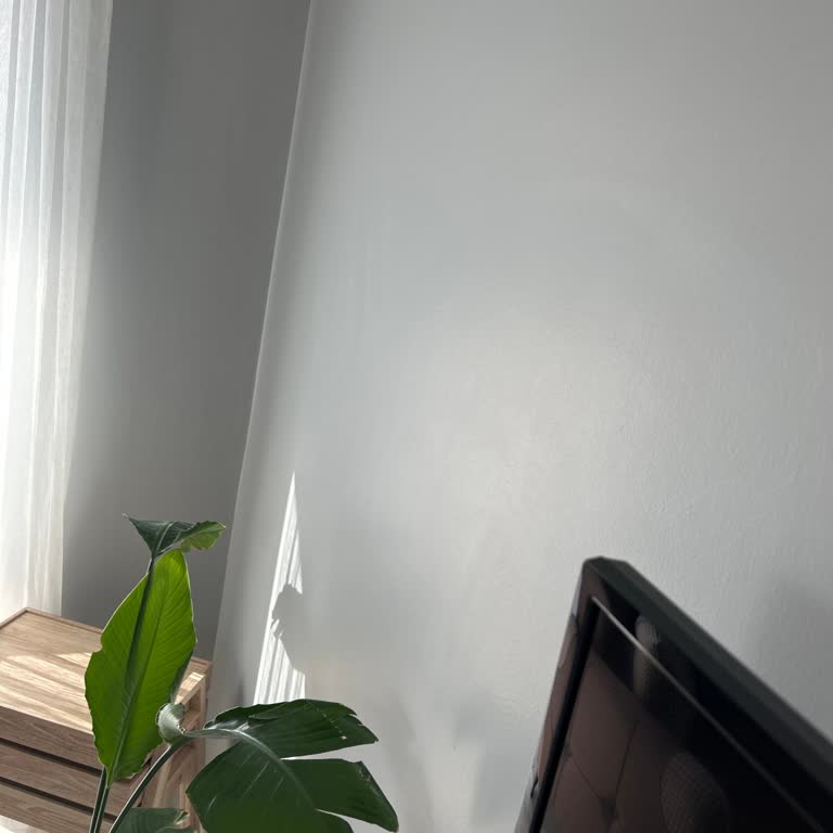 Dyo Silinebilir Diye Satılan Boyanın Silinince Daha Beter Olması