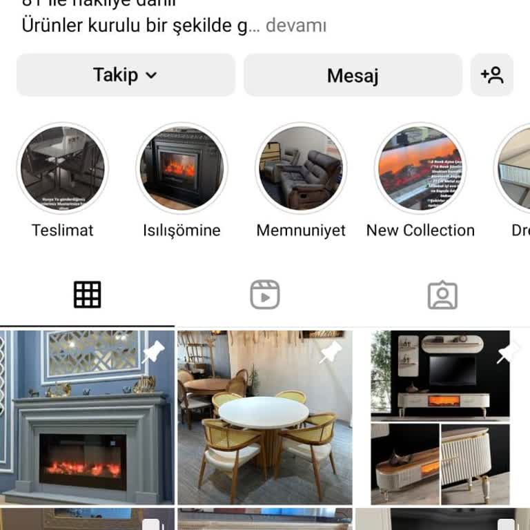 Aslanelektiriklisomine (Instagram) Yanıltmacası