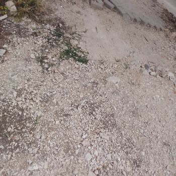 Bursa Nilüfer Belediyesi Durak Bölgesi Şikayeti