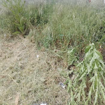 Bursa Nilüfer Belediyesi Durak Bölgesi Şikayeti