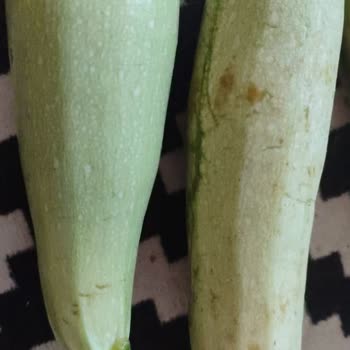 A101 Kapıda Uygulaması Bayat Sebzeleri Ve İade Süreci!