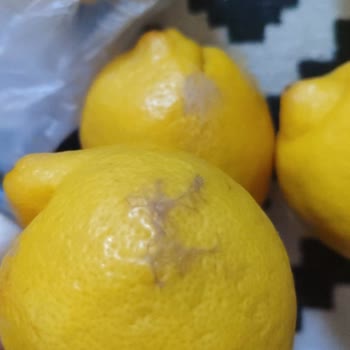 A101 Kapıda Uygulaması Bayat Sebzeleri Ve İade Süreci!