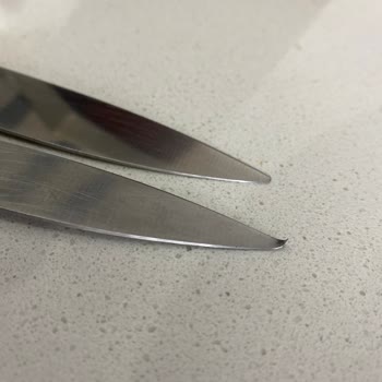 Zwilling Firma, Ürünlerindeki Kalitesizliğe Sahip Çıkmıyor!