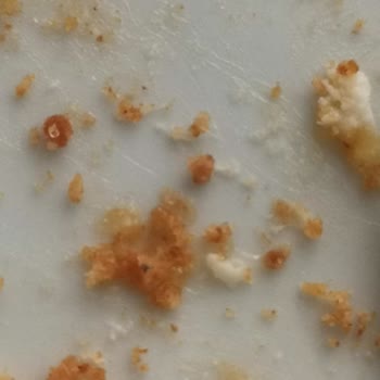 BİM Cheesecake'te Beklenmedik Misafirler!