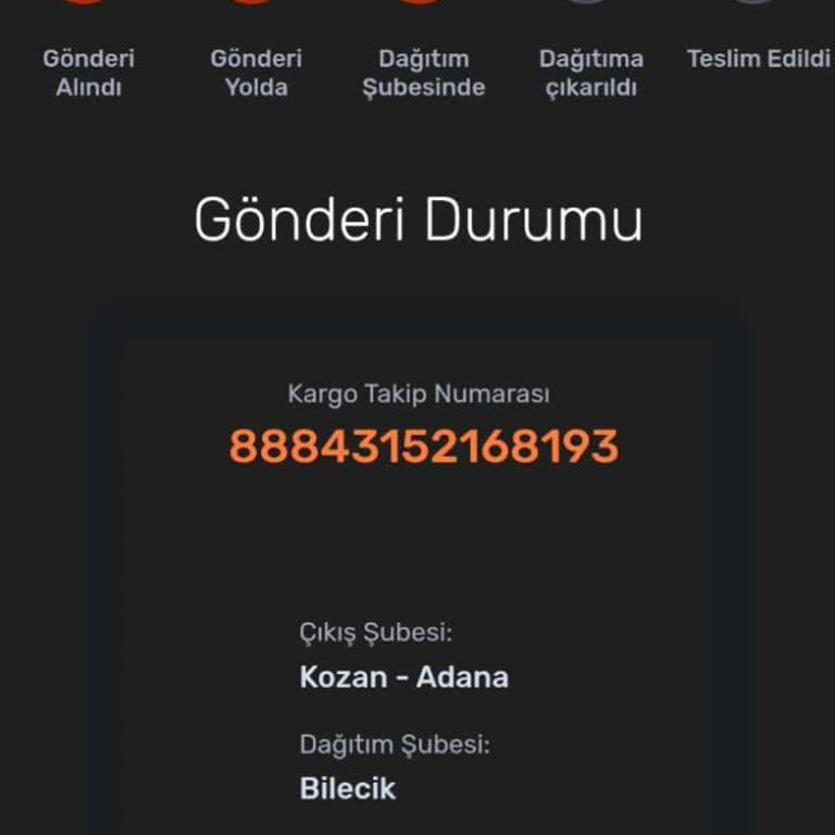 Bilecik Sürat Kargo Kargomu Kaybetti
