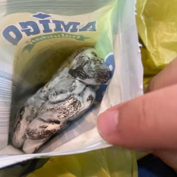 Şok Market Bozuk Kuru Kayısı