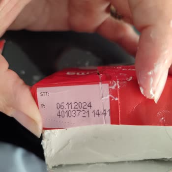 Pakmaya Pak Maya Sef Krema