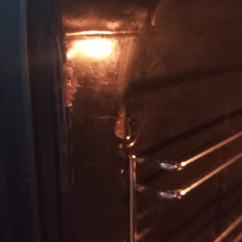 Silverline Fırın İçinde Paslanmalar