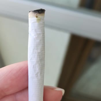 Philip Morris Sigarada Sarı Lekeler