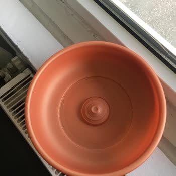 Enucuztoptan.com Enuyguntoptan.com Mağdur Etti