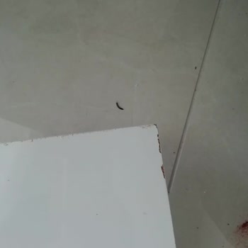 Garaj Home Şok Market 'ten Şikayetçiyim