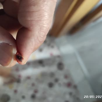 BİM Market, Emin Sucuğun İçinde Hayvan Kılı