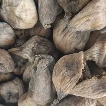 Organigiz.org Karaot Organik Ürünler Organik Değil Çöp!